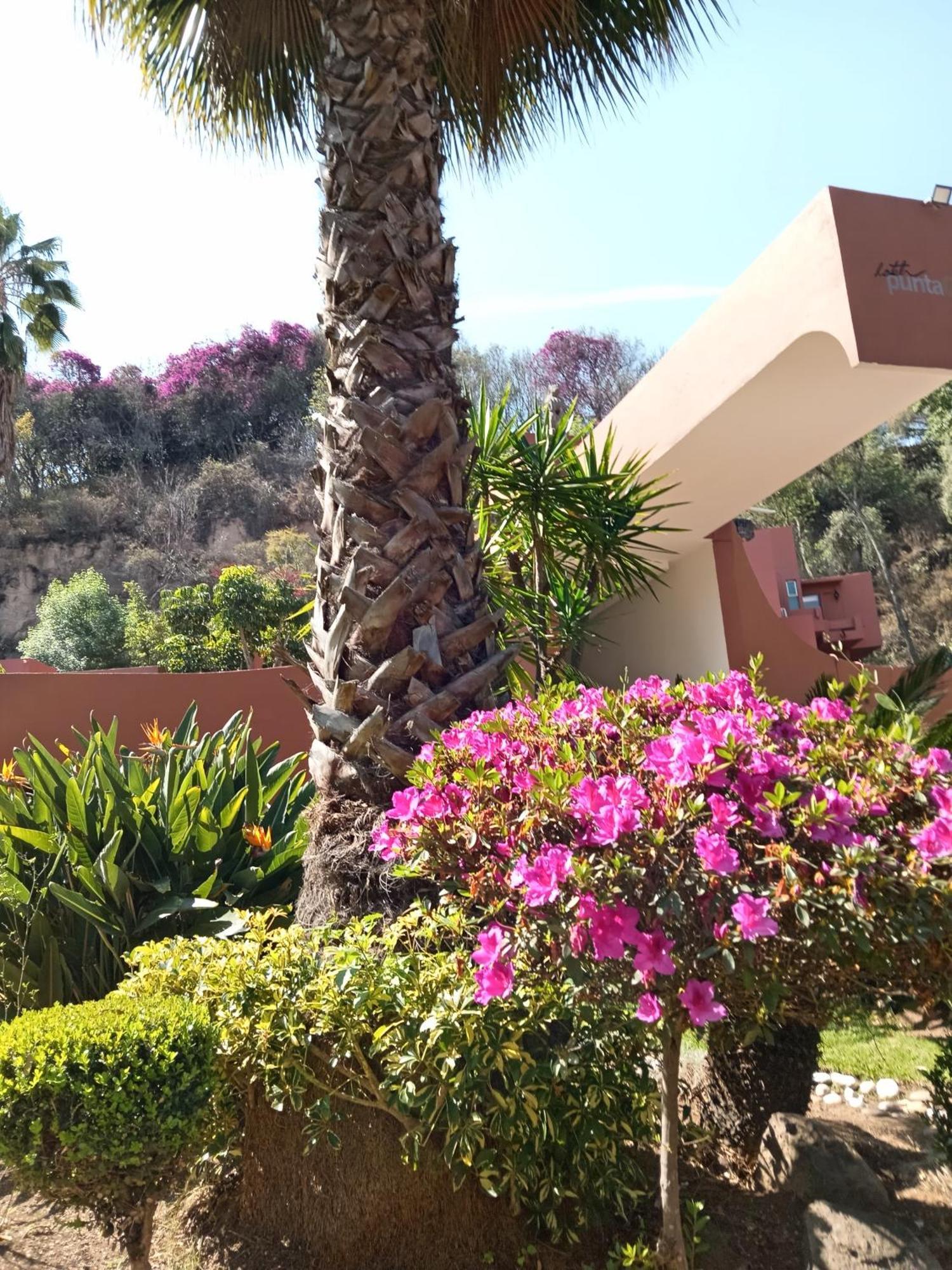 Hotel Punta Galeria