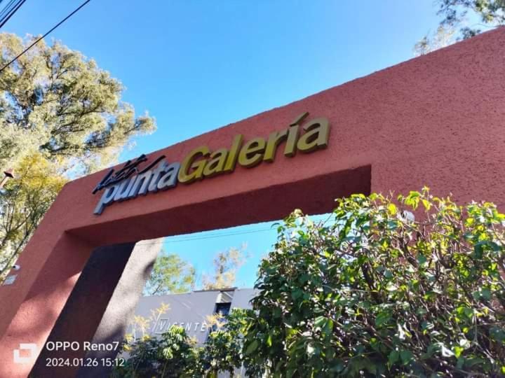 Punta Galeria Morelia