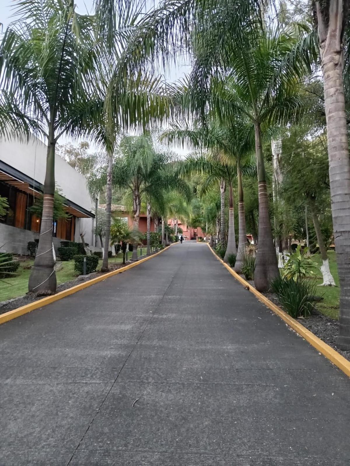 Punta Galeria 3*